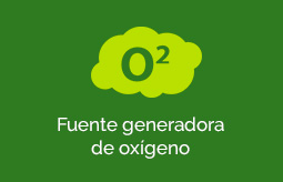 Ecosistemas Urbanos