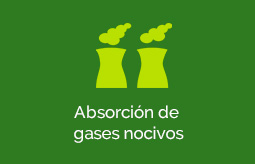 Ecosistemas Urbanos