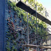Ecosistemas Urbanos