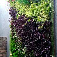 Ecosistemas Urbanos